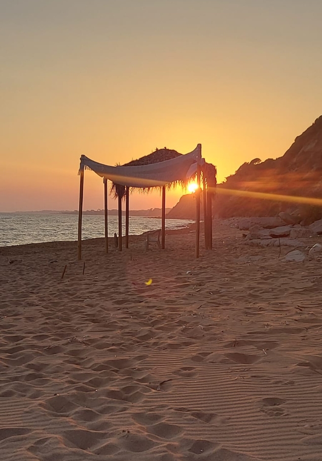 STUDIO OGRODOWE - Image 12